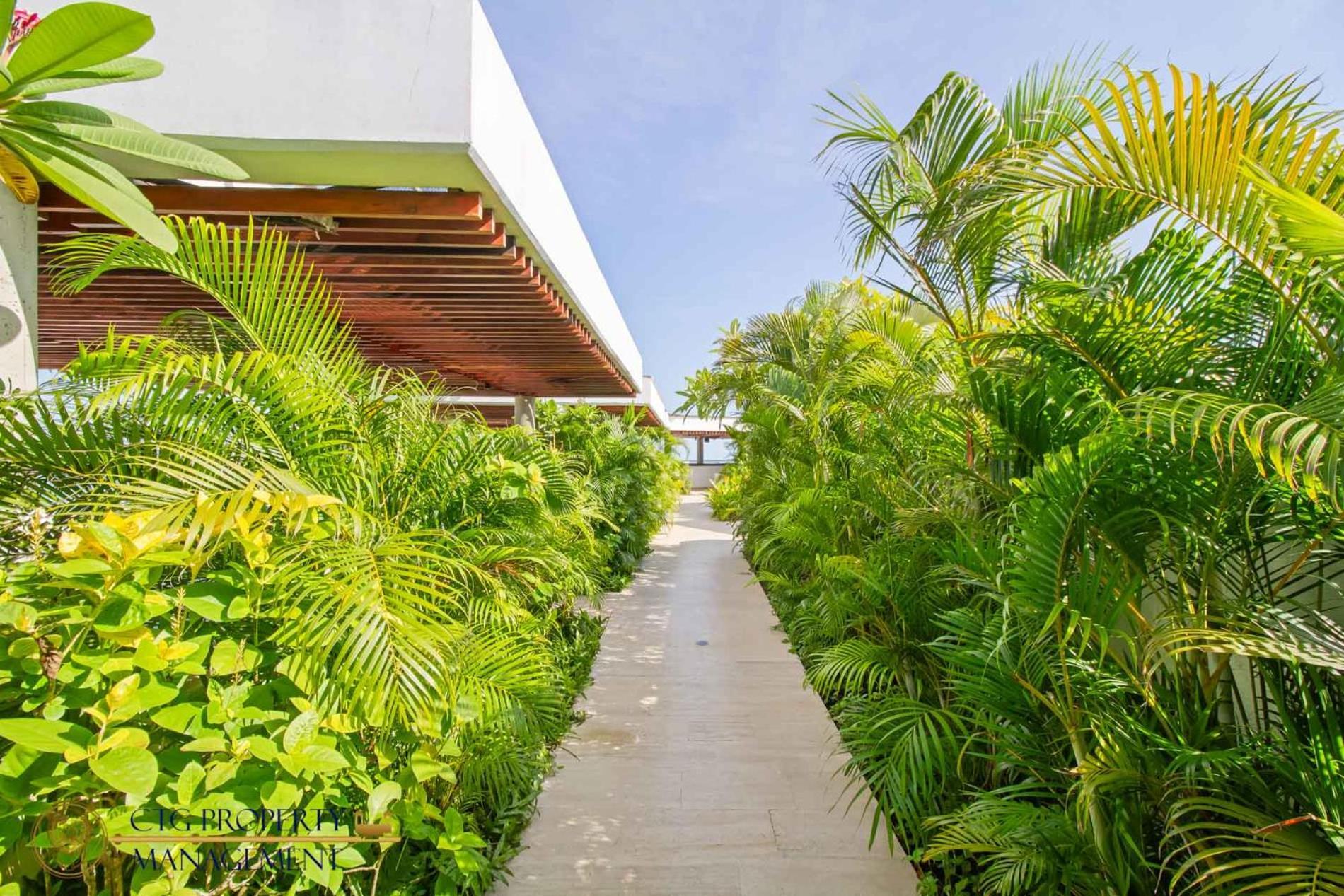 Martinique Cartagena - Apartamentos A Corta Caminata De Playa Azul Esterno foto